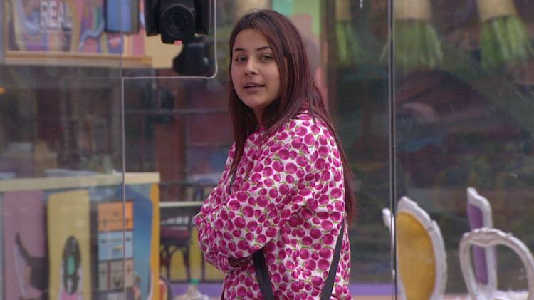 Bigg Boss 13 Day 82 written updates: Captain Shehnaz gets troubled by the housemates